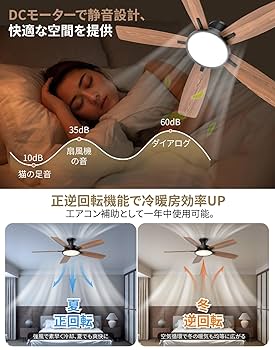 Amazon.co.jp : 【節電-5年保証】TALOYA シーリングファンライト